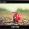 Feelworld - LUT7S 7" monitor (with SDI)