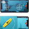 Chasing Dory
