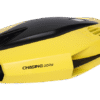 Chasing Dory