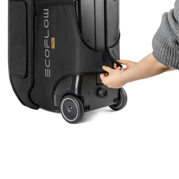 EcoFlow - DELTA Pro bag