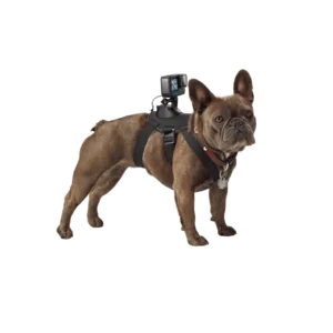 GoPro - Fetch