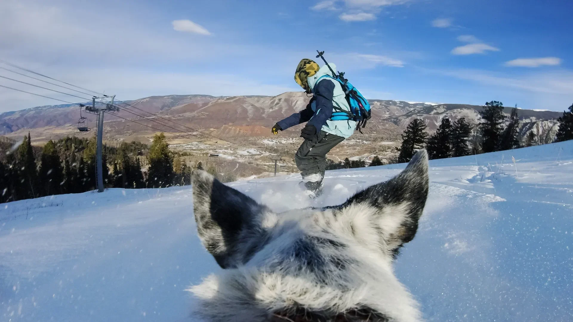 GoPro - Fetch